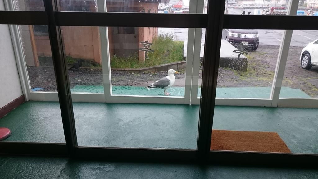 Ryokan Saihokutei Rishirifuji Dış mekan fotoğraf